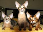     
: 3 (3).jpg
: 19
:	116.8 
ID:	2792667