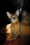     
: sophie (2).jpg
: 17
:	34.8 
ID:	2792670