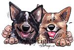     
: AUSTRALIAN_CATTLE_DOG.jpg
: 16
:	19.1 
ID:	2793705