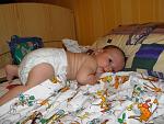     
: Копия P6200832.JPG
: 119
:	64.4 
ID:	2794184