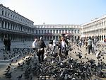     
: IMG_0077.jpg
: 108
:	207.7 
ID:	2794516