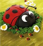     
: 55955288_16cfcd9c5d7d.jpg
: 65
:	108.7 
ID:	2794651