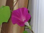     
: Resize of IMG_5311.JPG
: 14
:	75.2 
ID:	2795764