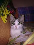     
: 20062011650.jpg
: 68
:	91.1 
ID:	2797984