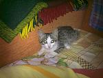     
: 20062011649.jpg
: 63
:	148.6 
ID:	2797985