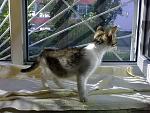     
: 21062011654.jpg
: 73
:	198.0 
ID:	2797986