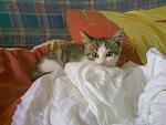     
: 20062011651.jpg
: 63
:	114.2 
ID:	2797987