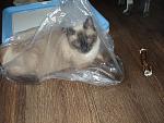     
: P5130067.JPG
: 36
:	77.7 
ID:	2799991