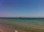     
: x_43a66cbb.jpg
: 95
:	64.4 
ID:	2801638