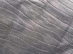    
: y_b4131808.jpg
: 151
:	268.9 
ID:	2803750