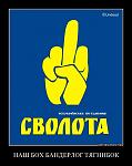     
: t0vo77m72fyt.jpg
: 18
:	33.8 
ID:	2803952