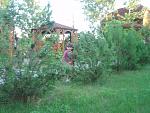     
: P6214098.JPG
: 123
:	172.5 
ID:	2804780
