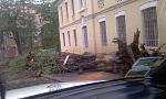     
: IMAG0283.jpg
: 724
:	121.1 
ID:	2807445