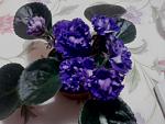     
: Фото0152.jpg
: 15
:	238.9 
ID:	2807798