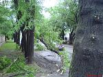     
: DSC00941.jpg
: 305
:	259.5 
ID:	2807827