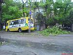     
: DSC00942.jpg
: 620
:	167.3 
ID:	2807828