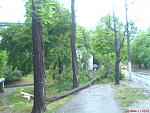     
: DSC00945.jpg
: 75
:	155.0 
ID:	2808766