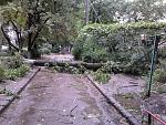     
: 2011-06-26 18.35.13.jpg
: 390
:	255.9 
ID:	2809612