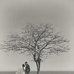     
: b_f_4df13da47c4ef.jpg
: 70
:	128.0 
ID:	2809769