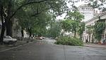     
: IMG_2531222222222.jpg
: 459
:	154.4 
ID:	2810071