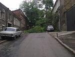     
: Фото0189.jpg
: 197
:	188.7 
ID:	2810384
