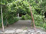     
: P1012286_resize.jpg
: 147
:	168.0 
ID:	2811462