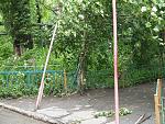     
: P1012287_resize.jpg
: 131
:	162.5 
ID:	2811483