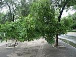     
: P1012295_resize.jpg
: 122
:	166.1 
ID:	2811484