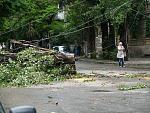     
: P1012270_resize.jpg
: 166
:	135.4 
ID:	2811533