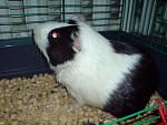     
: DSC00649.jpg
: 21
:	133.9 
ID:	2813516