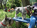     
: IMG_4593.jpg
: 23
:	277.2 
ID:	2815090