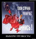     
: 04y288k3a3ie.jpg
: 10
:	62.8 
ID:	2816091