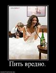     
: 69692_pit-vredno.jpg
: 11
:	37.9 
ID:	2816098