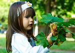     
: P1016870_resize.jpg
: 70
:	215.1 
ID:	2817529
