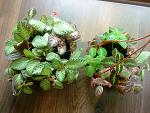     
: DSC00479.jpg
: 37
:	220.0 
ID:	2819190