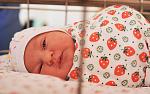     
: DSC_3597 red.jpg
: 100
:	63.7 
ID:	2820409