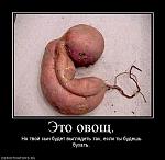     
: 1876_eto-ovosch.jpg
: 9
:	45.6 
ID:	2820803