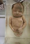     
: DUClaimBaby1.jpg
: 8
:	21.1 
ID:	2820806