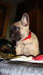     
: DSC04396.jpg
: 42
:	61.4 
ID:	2821167