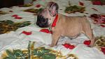    
: DSC04393.jpg
: 49
:	105.4 
ID:	2821174