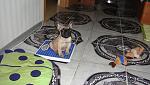    
: DSC04389.jpg
: 45
:	132.5 
ID:	2821177