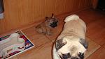     
: DSC04360.jpg
: 44
:	87.3 
ID:	2821178