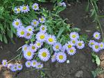     
: IMG_5054.JPG
: 9
:	76.1 
ID:	2822670