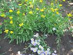     
: IMG_5055.JPG
: 9
:	99.1 
ID:	2822672