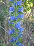     
: IMG_5078.JPG
: 8
:	65.6 
ID:	2822679