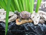     
: IMG_5125.JPG
: 24
:	73.7 
ID:	2822683