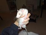     
: 280620115542.jpg
: 20
:	78.8 
ID:	2826296