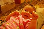     
: y_82bb7e66.jpg
: 90
:	104.2 
ID:	2826811