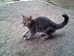     
: IMG_20110702_101936.jpg
: 25
:	160.6 
ID:	2828996