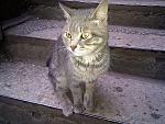     
: IMG_20110702_101848.jpg
: 20
:	109.7 
ID:	2828997